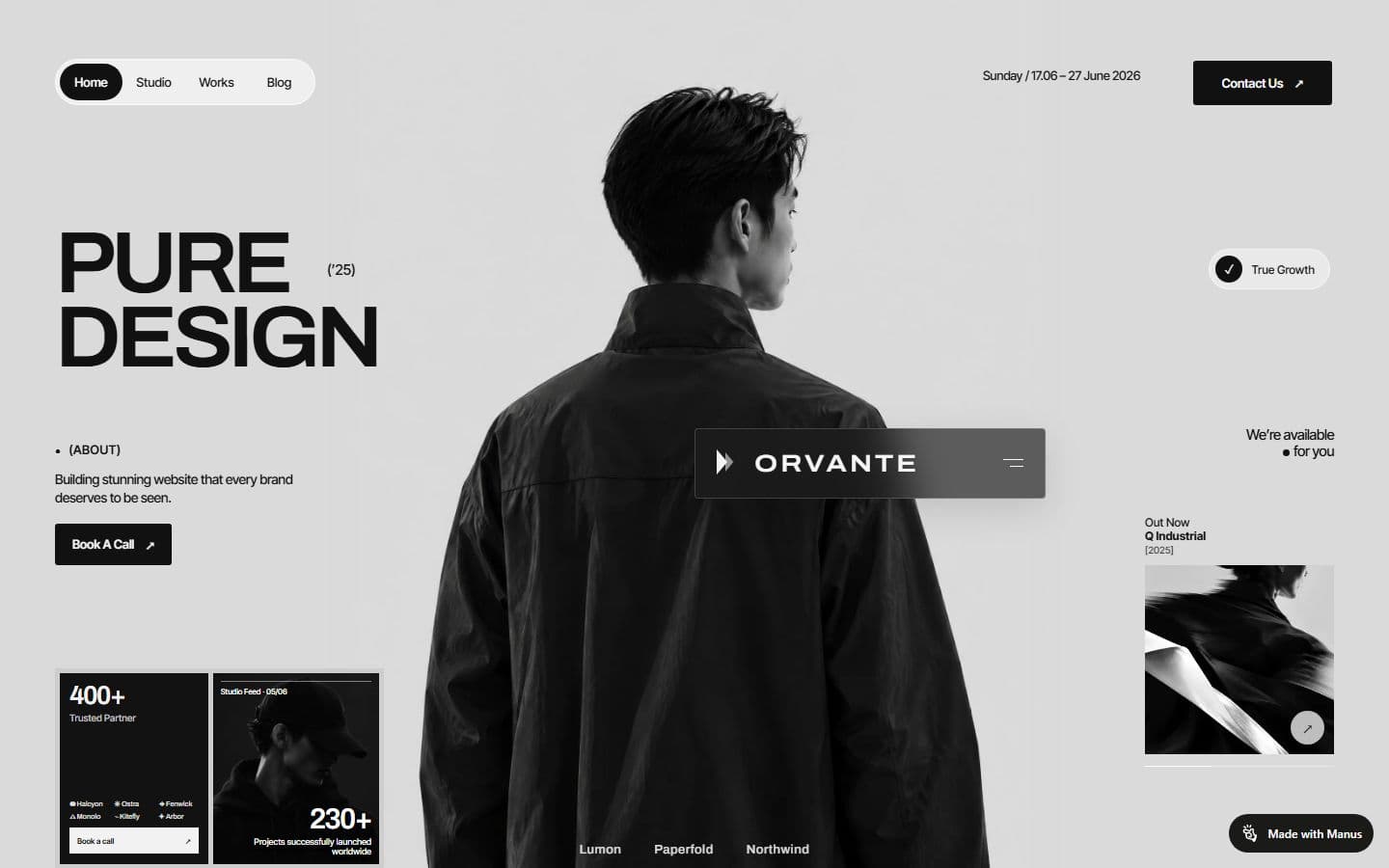 Preview of the Orvante: Pure Design website