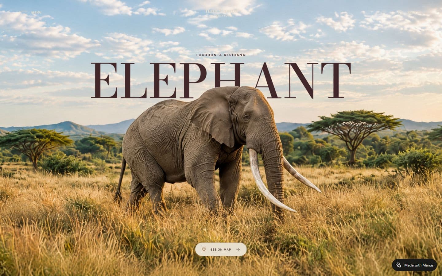 Preview of the Tana Camps Expeditions: Elephant website